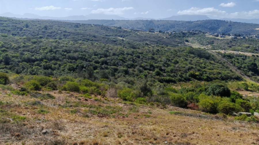 Commercial Property for Sale in Avonddans Western Cape